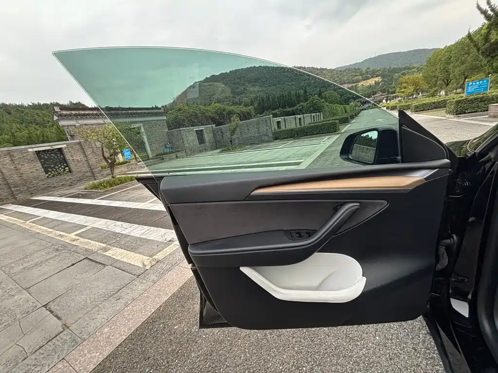 Tesla Model Y — миниатюра 7