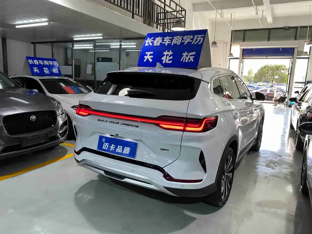 BYD PLUS New Energy — миниатюра 7