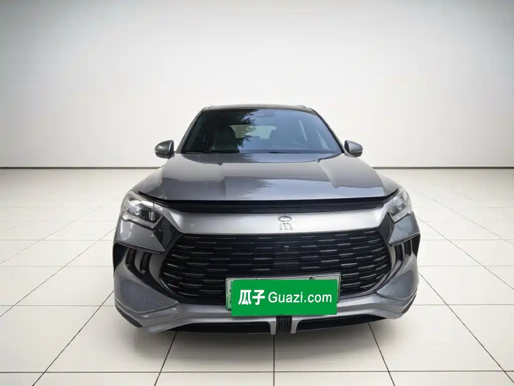 BYD Pro New Energy — миниатюра 2