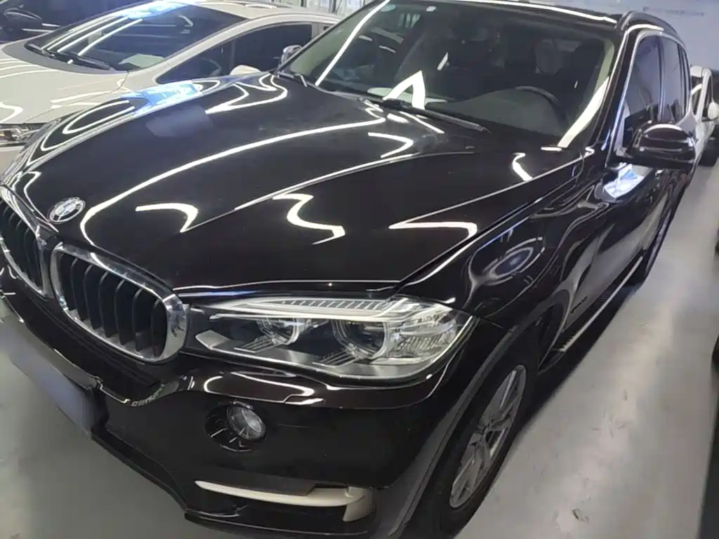 BMW X5 (Import) — миниатюра 2