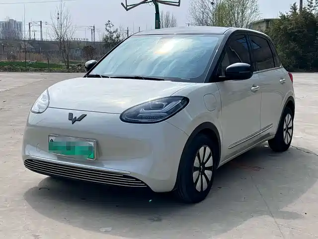 WULING WULING BINGGUO 2024