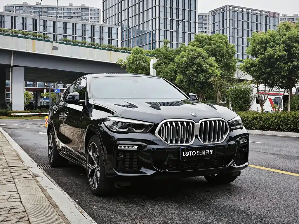 BMW X6 — миниатюра 3