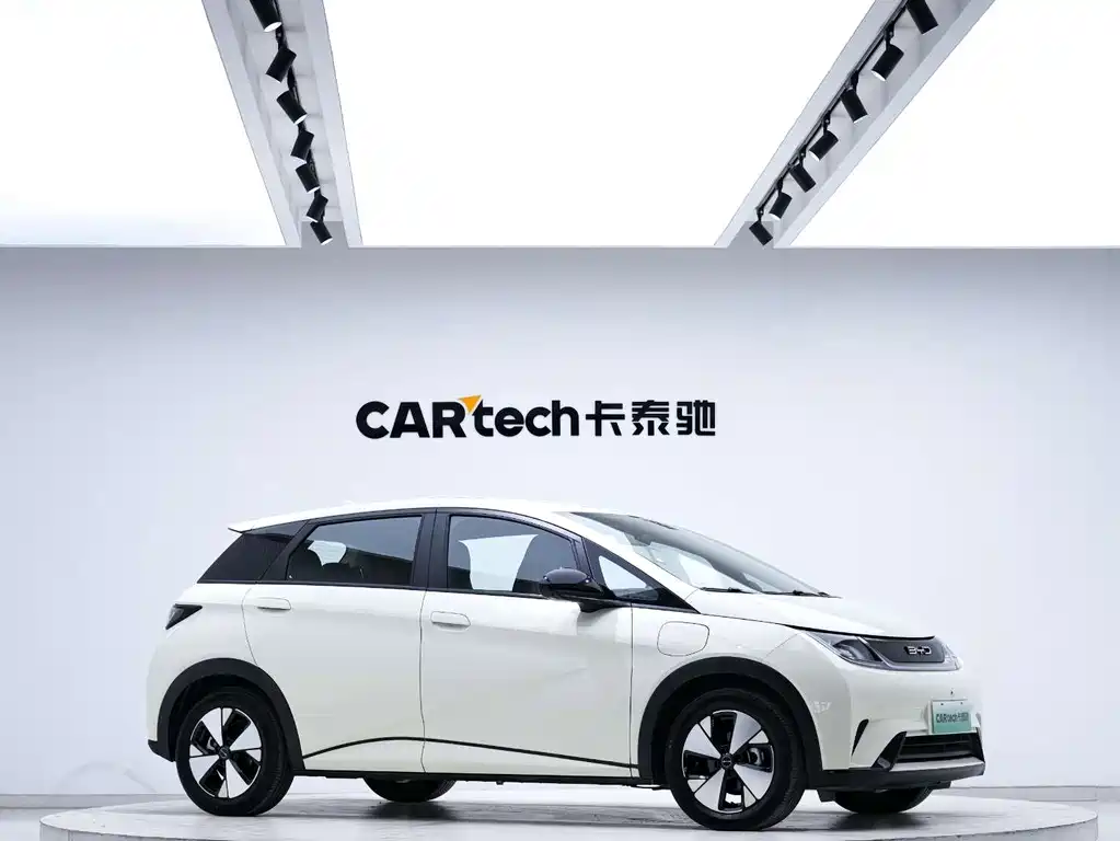 BYD Dolphin — миниатюра 4