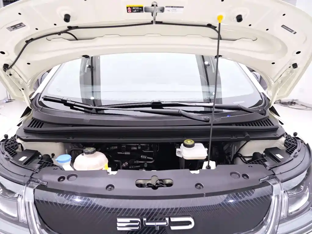 BYD Dolphin — миниатюра 16