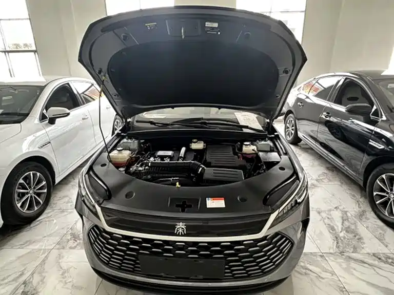BYD Qin PLUS — миниатюра 22