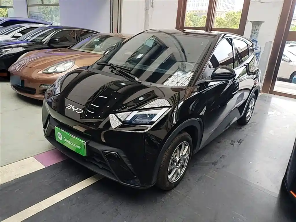 BYD Seagull 2024 305km