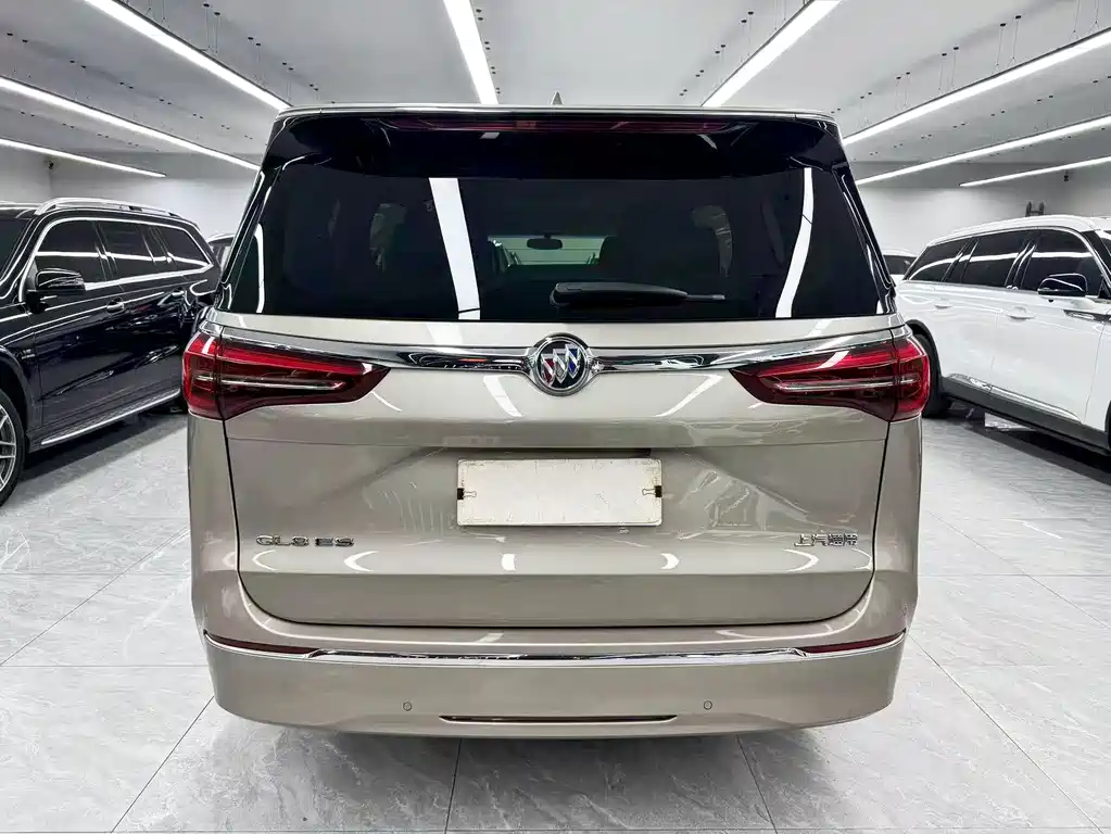 Buick GL8 — миниатюра 5