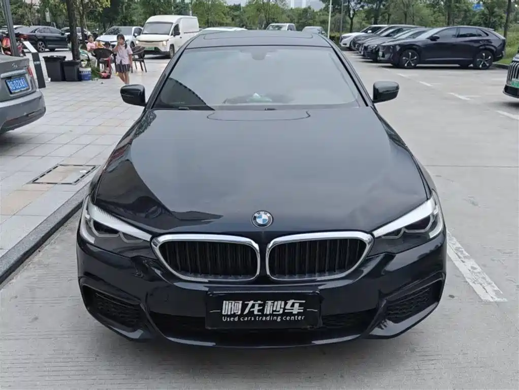 BMW 5 Series — миниатюра 2