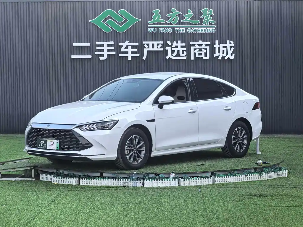 BYD Qin Plus PLUS 2024 DM-i 55KM Lead