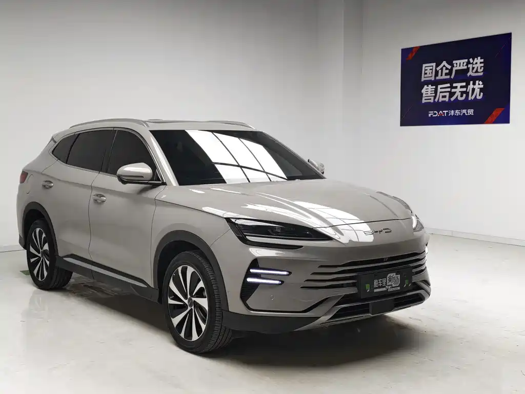 BYD PLUS New Energy — миниатюра 3