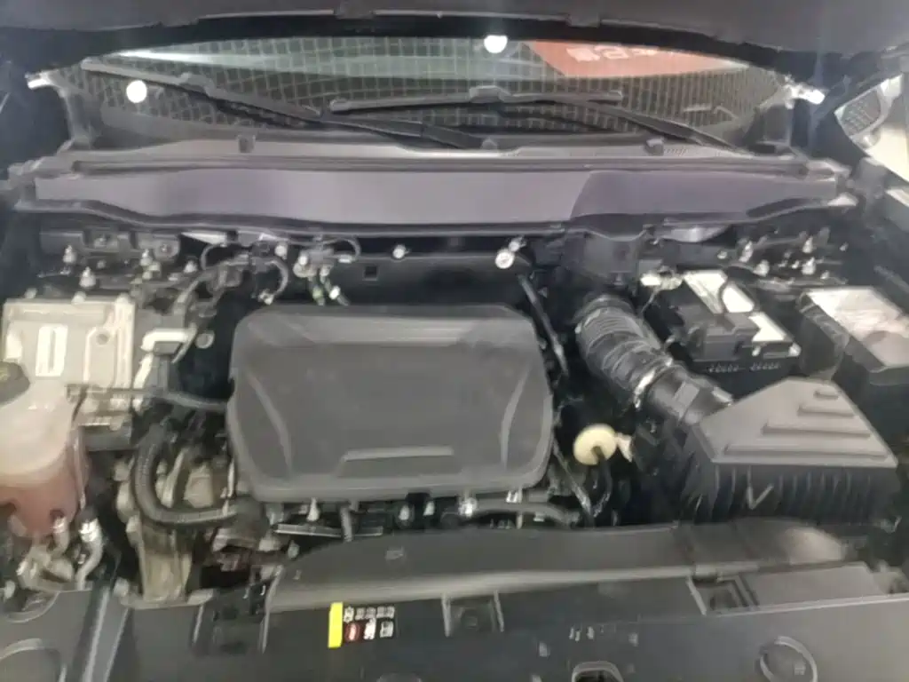Haval Big Dog — миниатюра 20