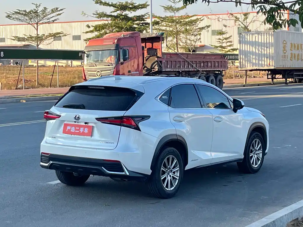 LEXUS NX