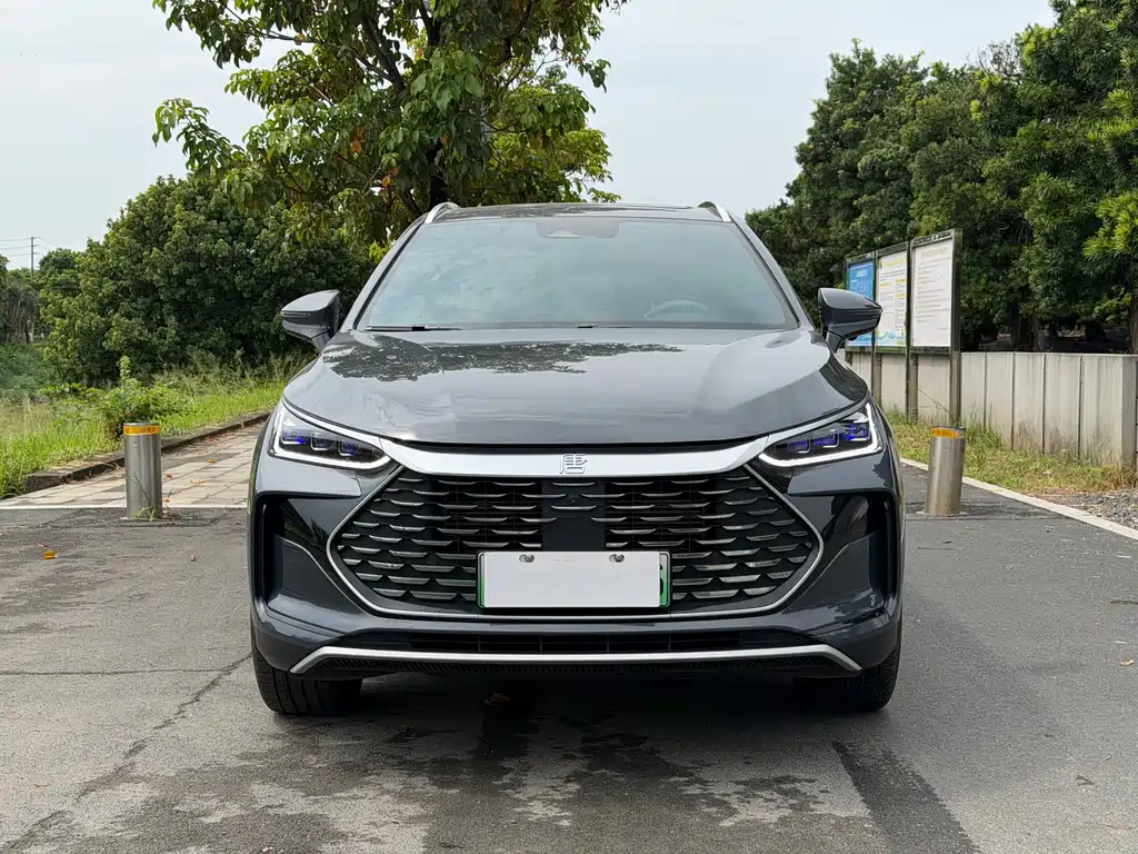 BYD Tang New Energy — миниатюра 2