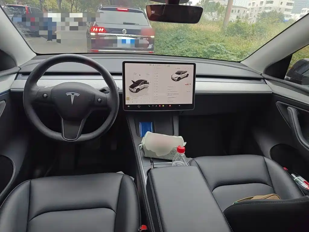 Tesla Model Y — миниатюра 5