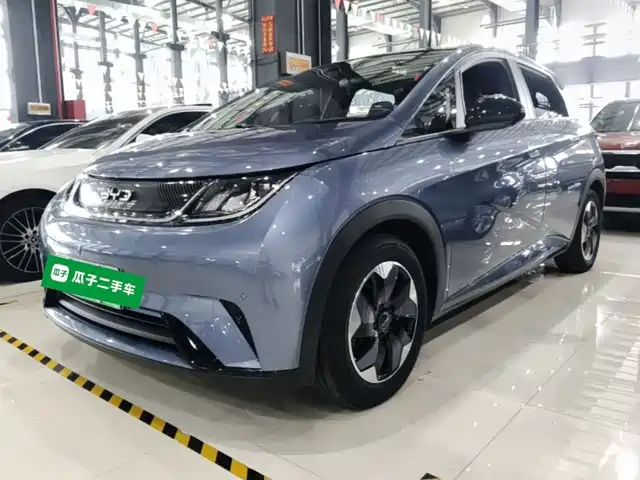 2024 BYD Dolphin