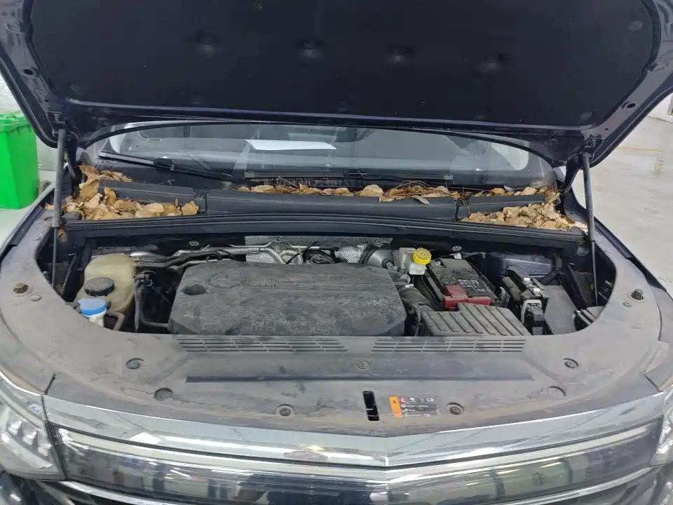 Roewe iMAX8 2023 400TGI