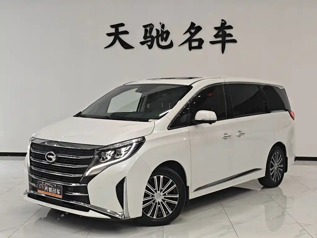 2022 GAC GN8 - zdjęcie 1 z 18