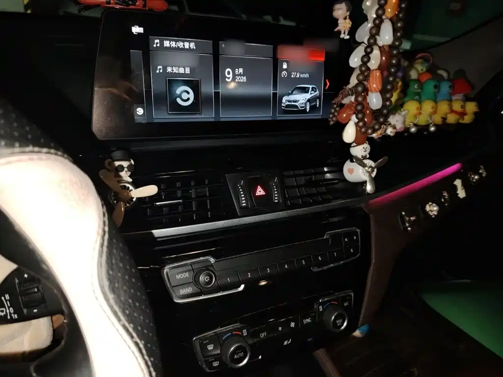 BMW X1 — миниатюра 6