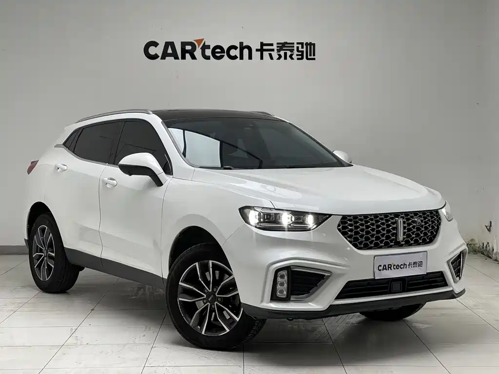 WEI PAI WEI BRAND VV5