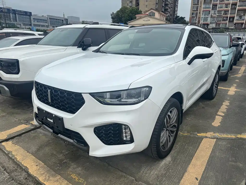 Wey Wey VV5
