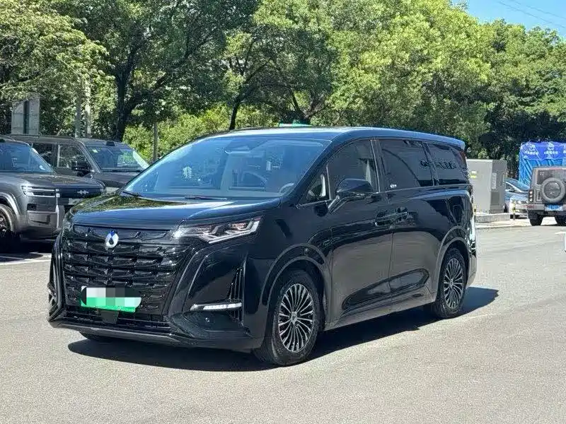 Denza D9