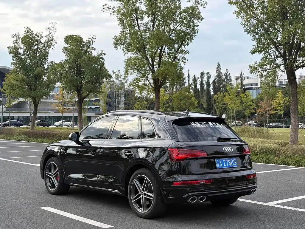 Audi SQ5 — миниатюра 6