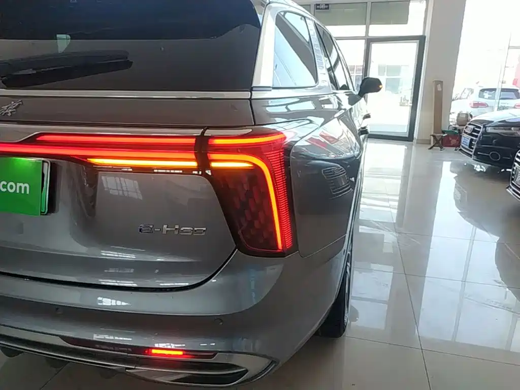 Hongqi Hongqi E-HS9 — миниатюра 8
