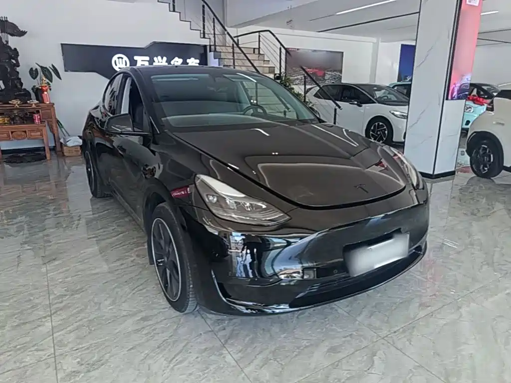 Tesla Model Y — миниатюра 4