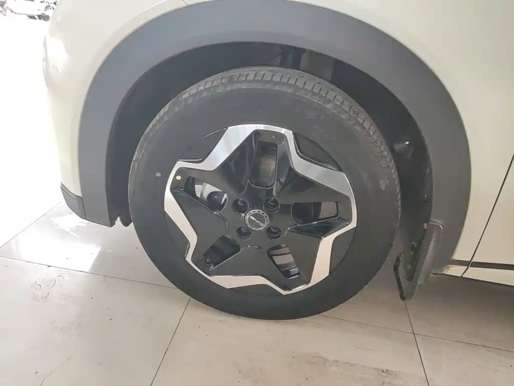 BYD Dolphin — миниатюра 23