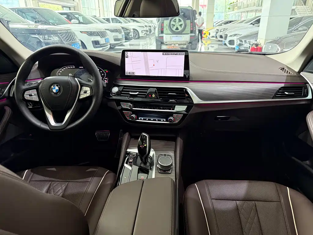 BMW 5 SERIES