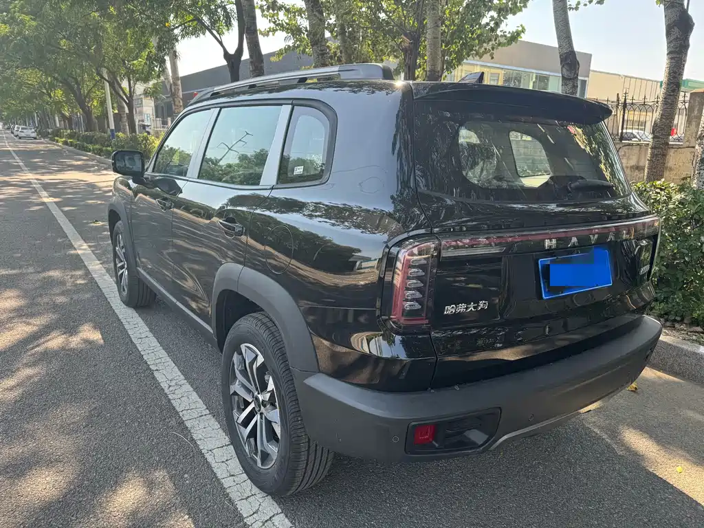 Haval 长城大狗 — миниатюра 4