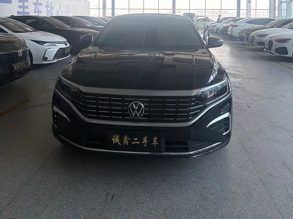 Volkswagen Passat — миниатюра 2