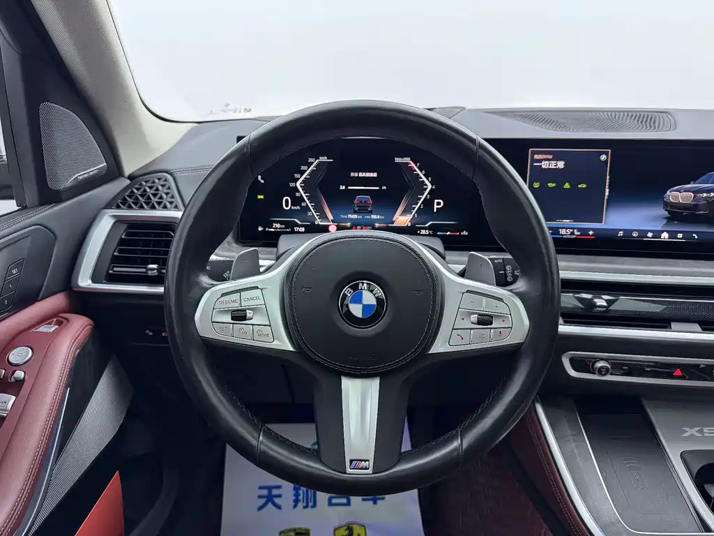 BMW X5 2023 xDrive 30Li Premium M Sport