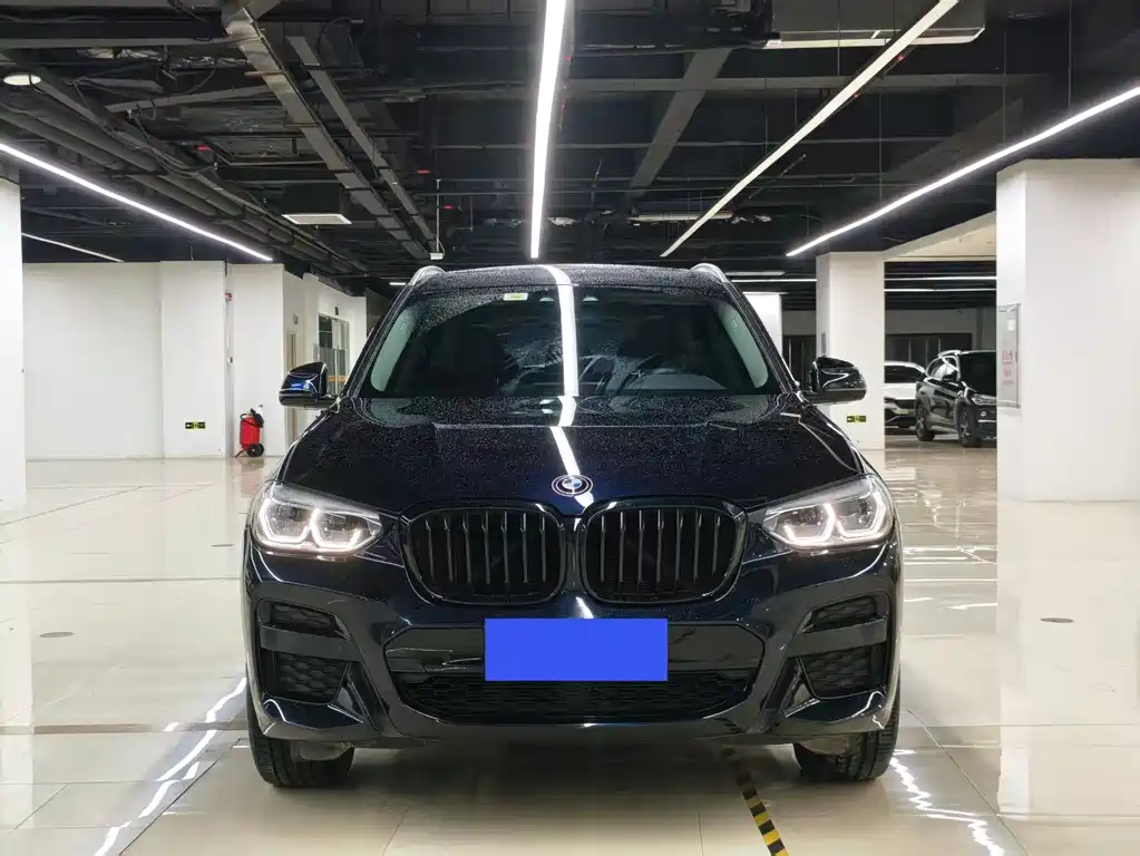 BMW X3 — миниатюра 2