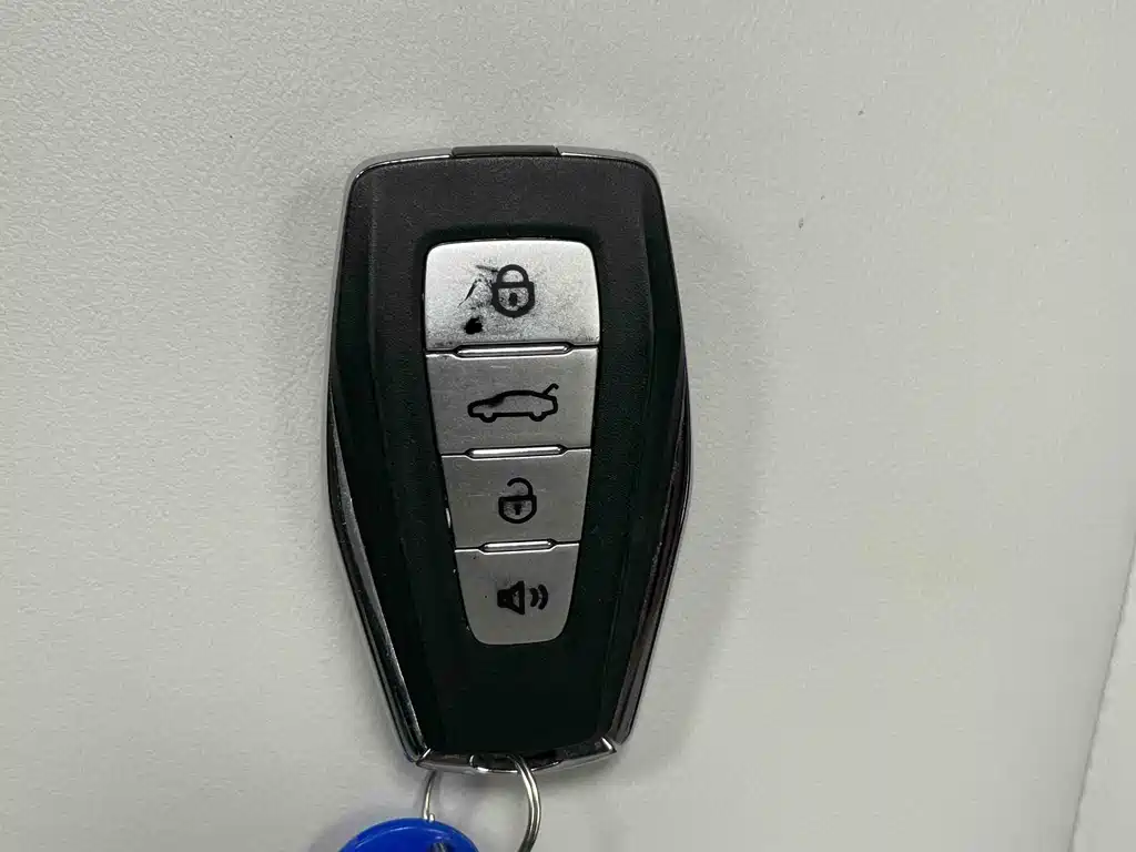 GEELY GEOMETRY E FIREFLY