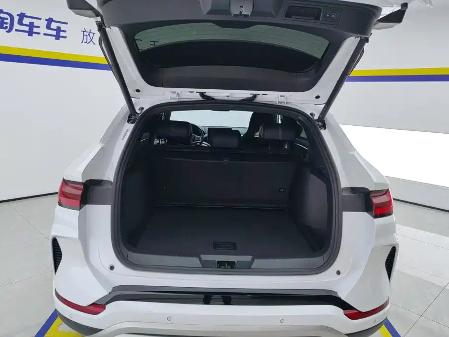 BYD PLUS New Energy — миниатюра 4