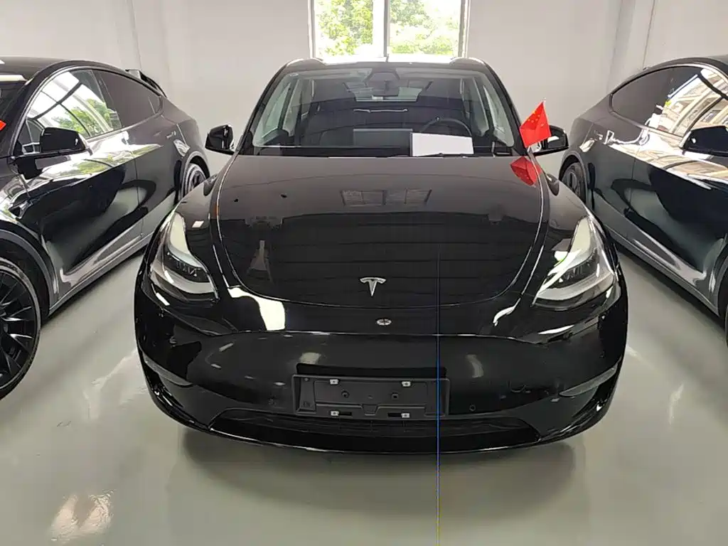 Tesla Model Y — миниатюра 3