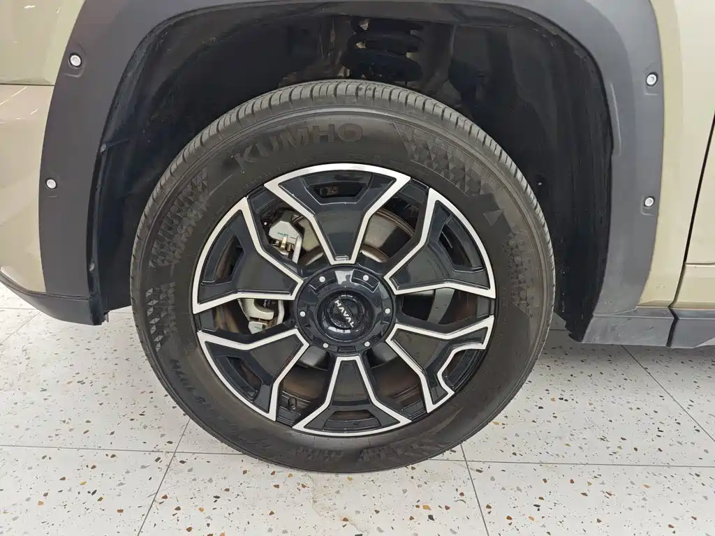 Haval Big Dog PLUS New Energy — миниатюра 23