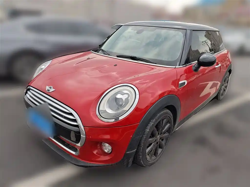 Mini Mini 2017