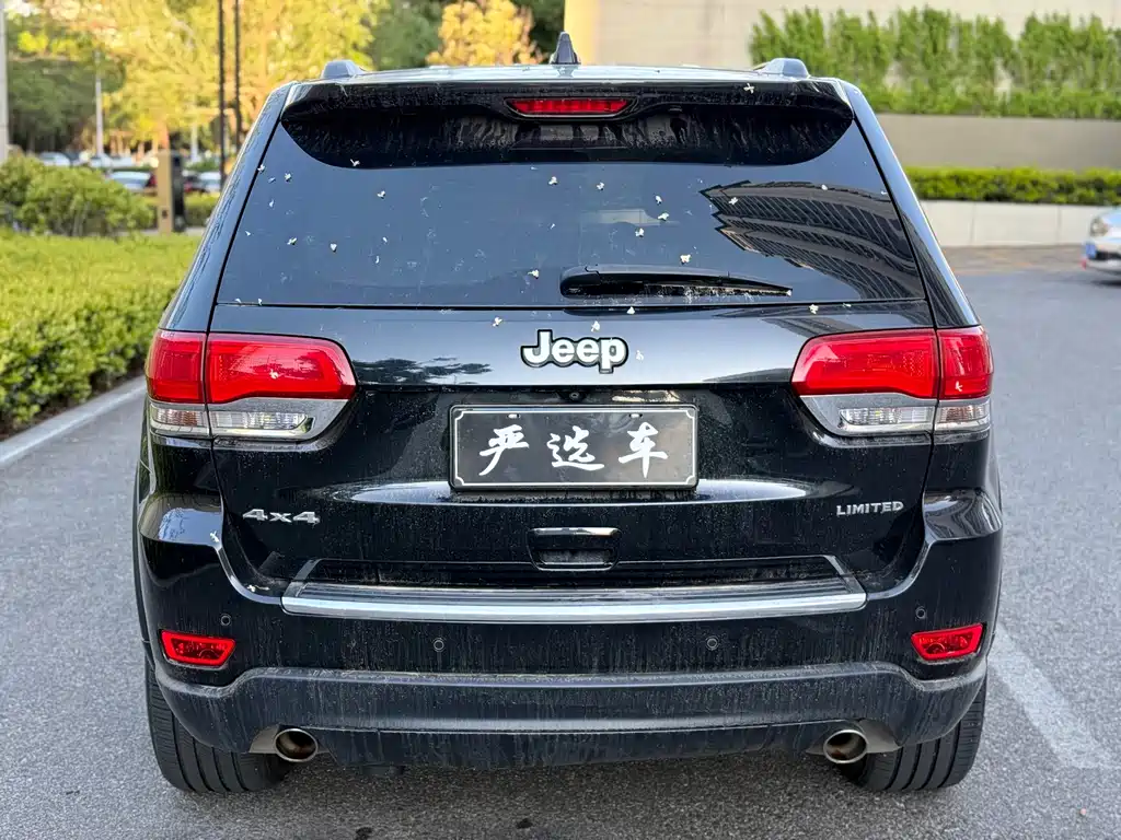 Jeep Grand Cherokee (Import) — миниатюра 5