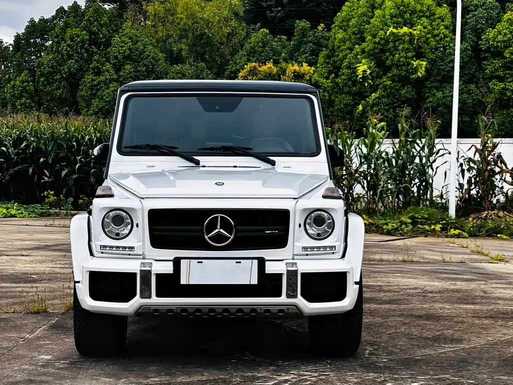 MERCEDES-BENZ  G CLASS AMG