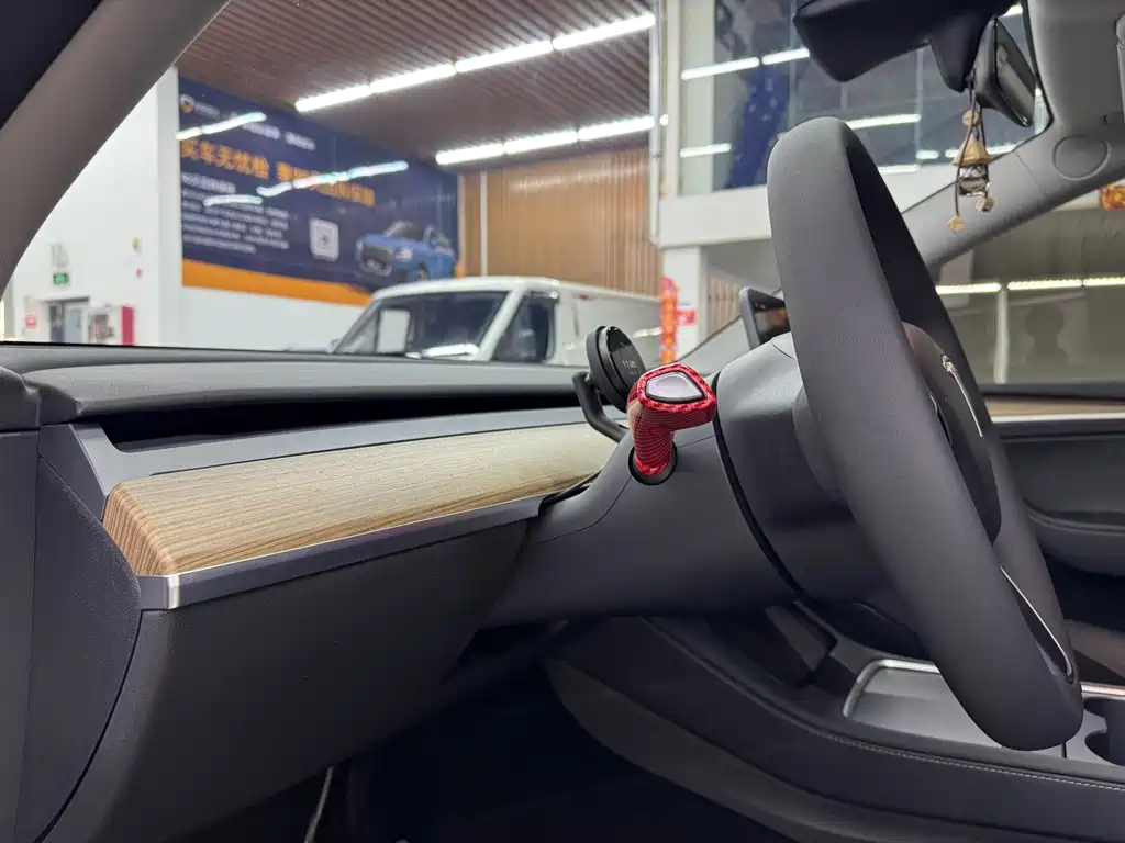 Tesla Model Y — миниатюра 6