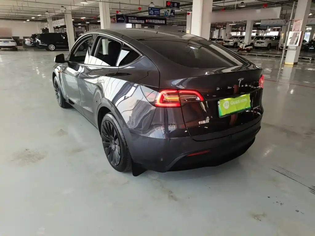 Tesla Model Y — миниатюра 5