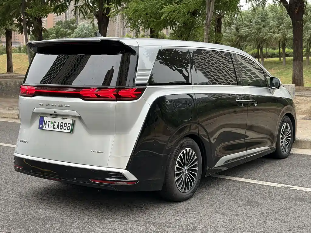 Denza Denza D9 — миниатюра 6