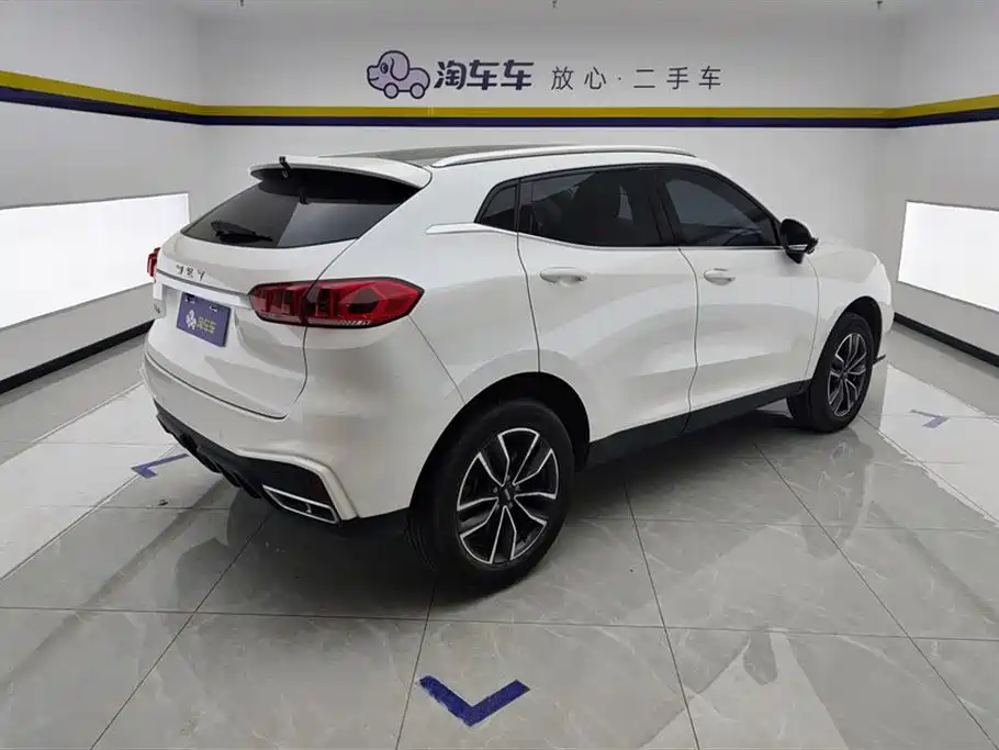 WEI PAI WEI BRAND VV5