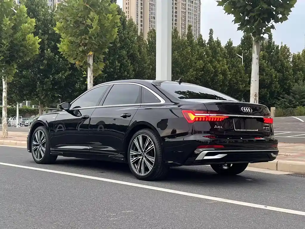 Audi A6L — миниатюра 14