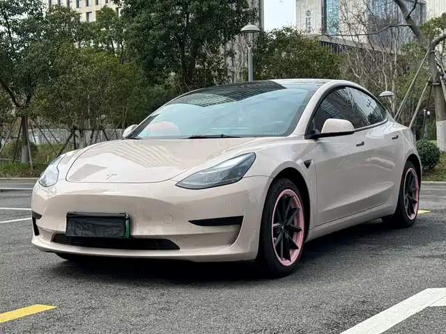 TESLA MODEL 3 2022