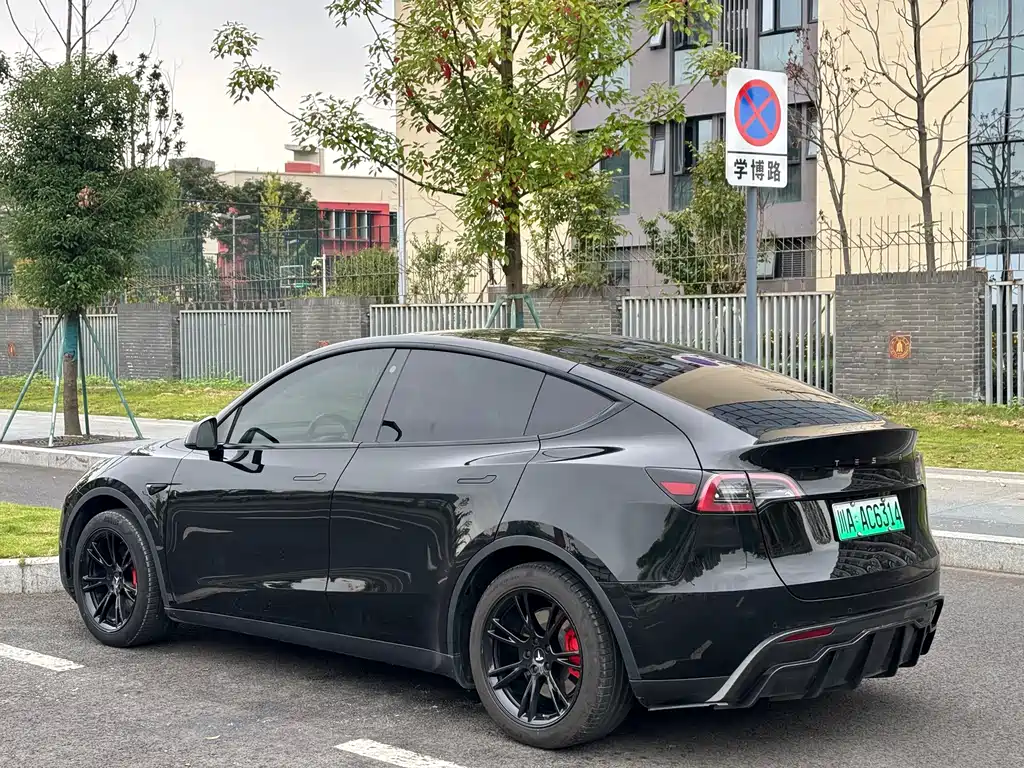 Tesla Model Y — миниатюра 16