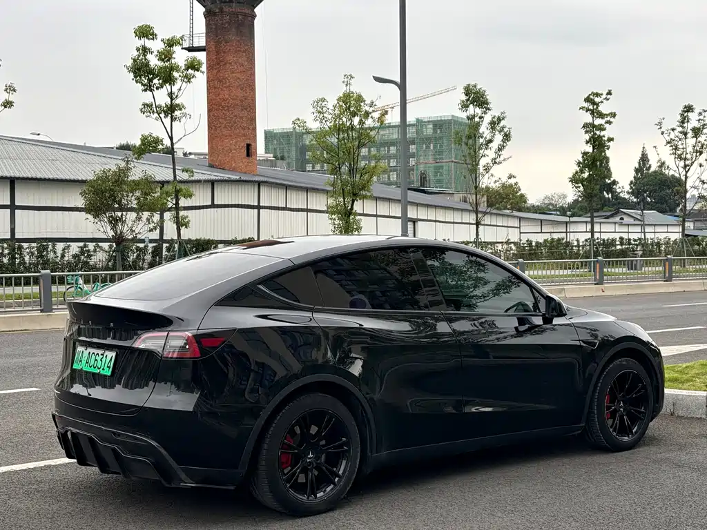 Tesla Model Y — миниатюра 18