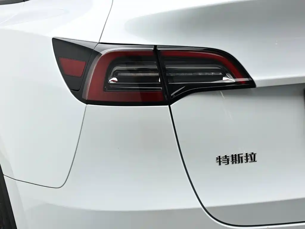 Tesla Model Y — миниатюра 7
